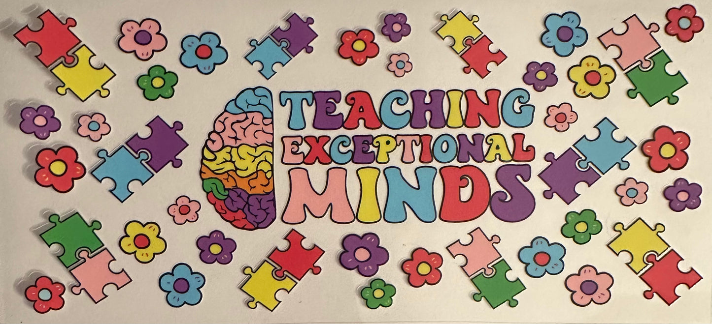 Teaching Exceptional Minds