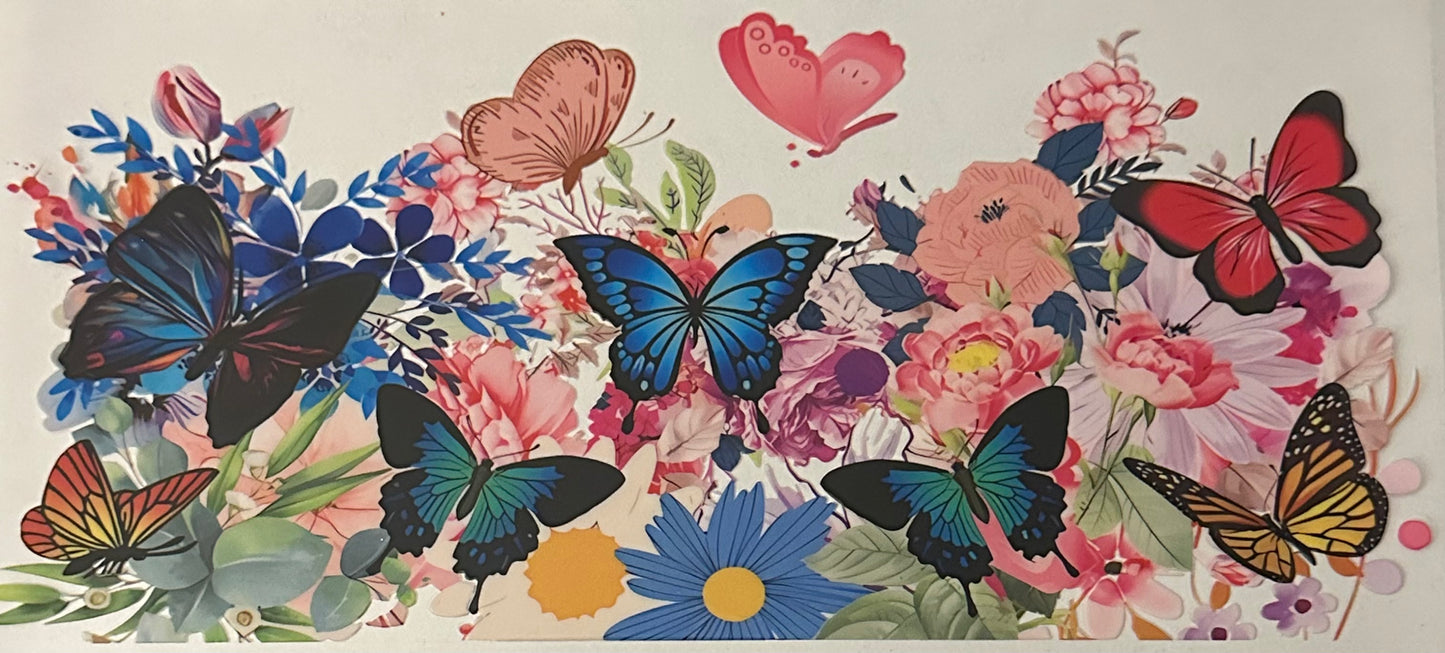Colorful Butterfly's