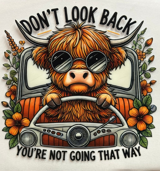 Don't Look Back Highland Cow